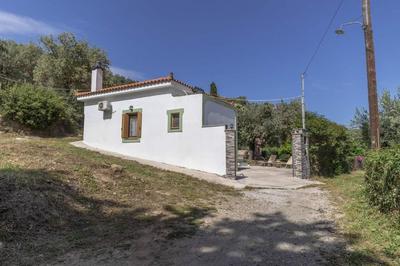 Olivetree private Villa