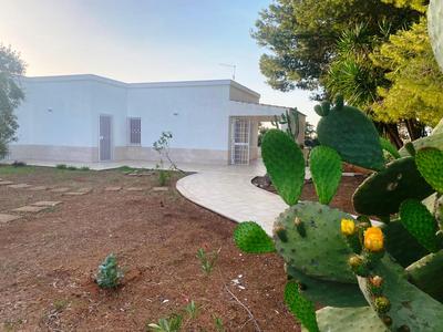 Villa Falesia, Capitolo, Monopoli