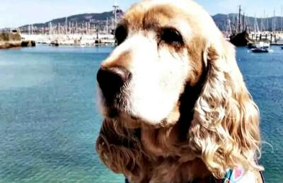 Holibai, Anduriña, Céntrico Con Parking, Acepta mascotas