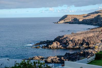 Tenerife Lizards - apartment in the first line