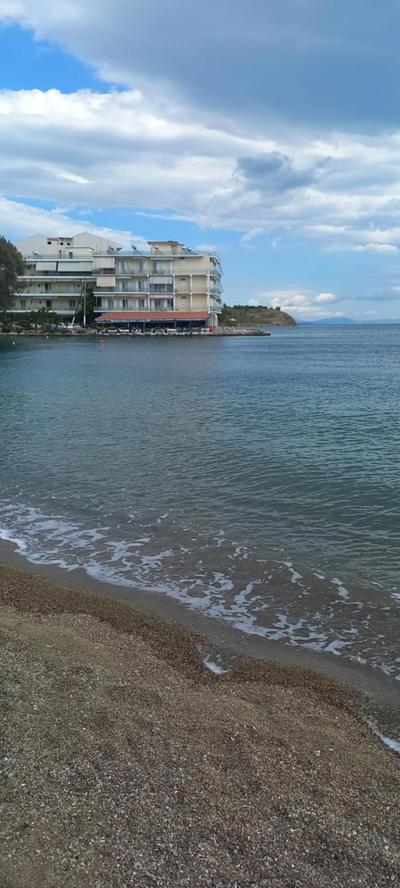 Paradise House