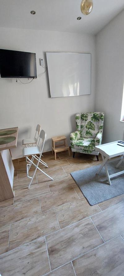 Studio apartment in center of Zagreb "Vidra"