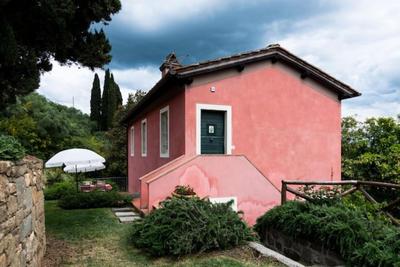 Residence Collecchio - Tulipano