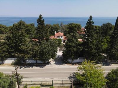 The Saronic Villa - Jungle on the sea