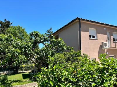 Apartments Branko