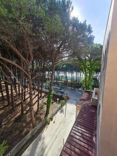 Golem Rajmonda's House