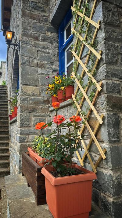 Robin Hotel Apartments