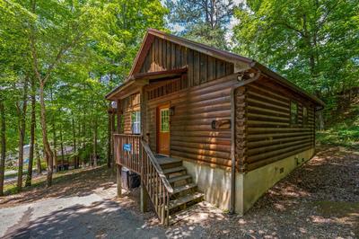 Spring Special - Dollywood at 2 min & Heated Pool