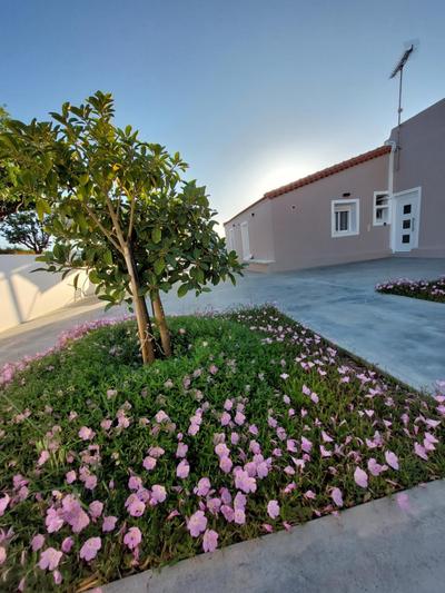 PLATANES PLACE