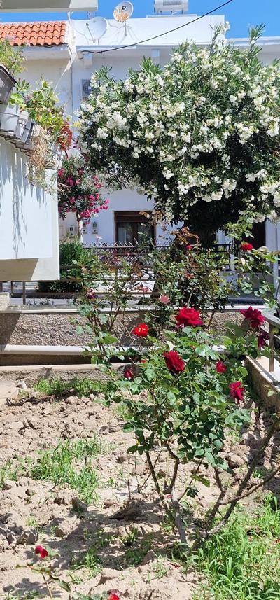 City Center Luxury Spacious apt A&M