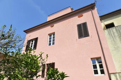 Alloro 5