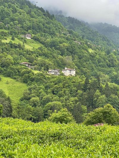 Lotus Çamlıhemşin Suit & Bungalov