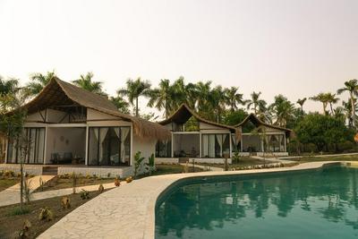 Coral De Fuego Isla Fuerte