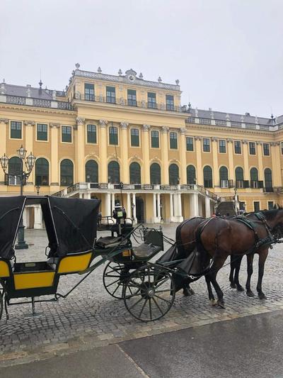 Modern Studio in the Heart of Vienna - Steps from the Opera
