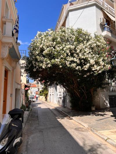 Plaka Modern Vibes