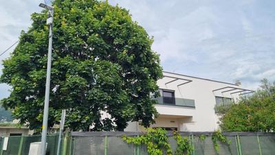 Maslina House - Family apartment 1 with Pool