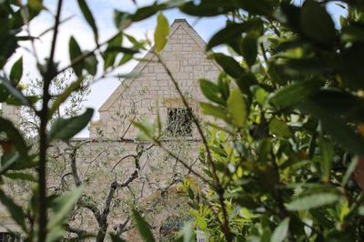 La Cummersa all'ombra dell'Ulivo