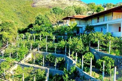 Philoxenia Guest Studio