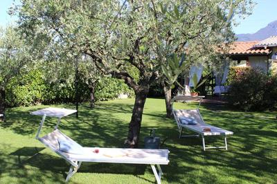 Villa Dimora degli ulivi