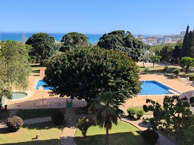 Terraza de Iris