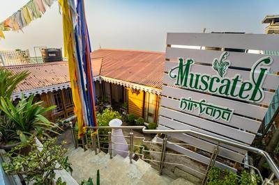 Muscatel Nirvana – At The Mall Road