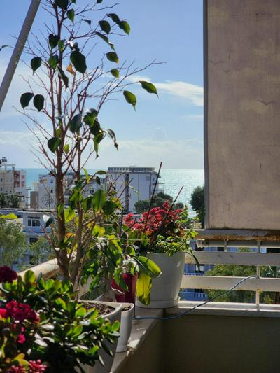 My Apartment