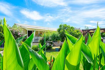 PRETTY SPITI Holiday Retreat