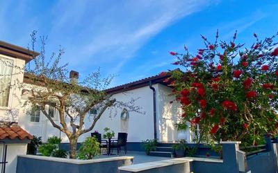 Apartment Ambretta