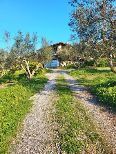 Koroni Kamares Valley Farm Amidst Olive Groves