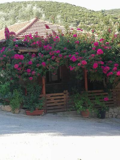 Elena’s House Sivota Lefkadas
