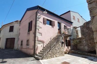 Fiore del Carso