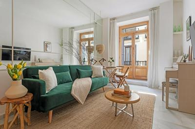 Apt entre Plaza Mayor y Catedral