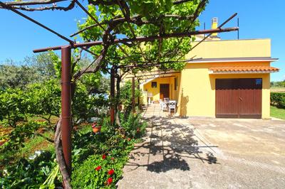 House Smiljana 2059
