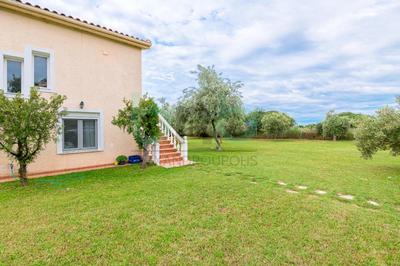 ''Olive Tree Resort''