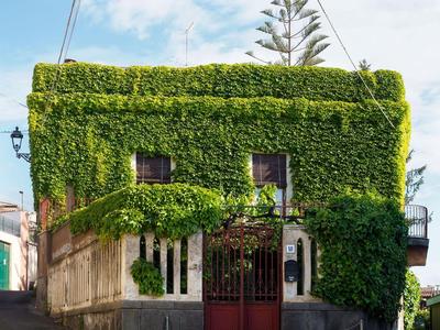 Casa Edera
