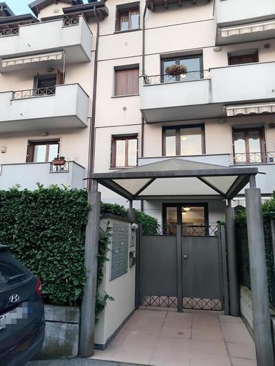 Neaga's House