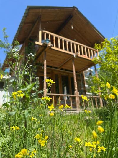 Stone Cottage and Tree House by StayApart