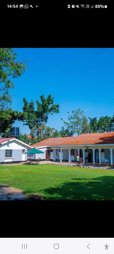 The lit garden place