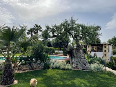 Alla villa di Angelo