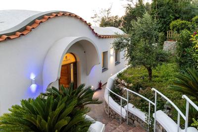 AMORE RENTALS - Villa Olivella