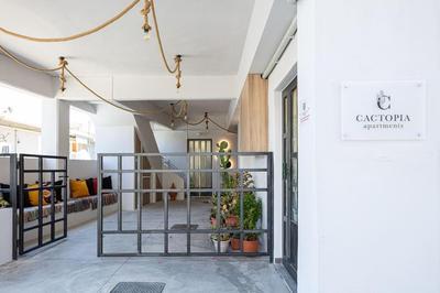 Cactopia Apartments - Stapelia