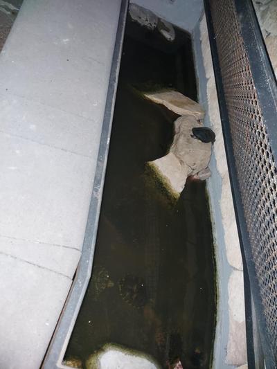 Blu Etna Casa Vacanze