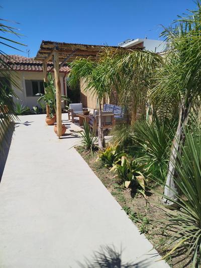 Emina Palms