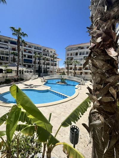 Luxury Studio La Mata Beach