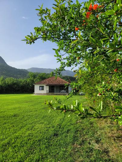 Casa L