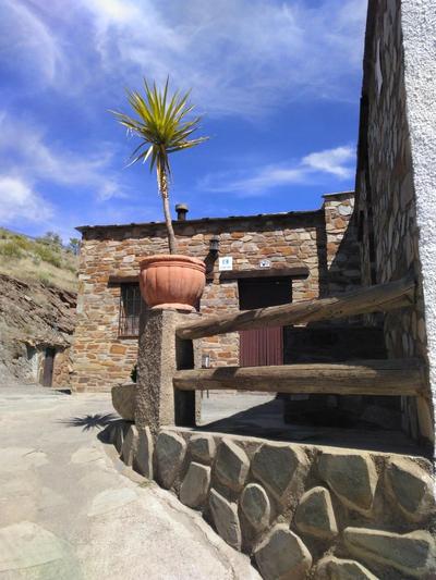 Encina de Lorenzo 1