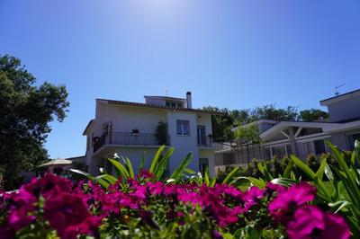 Romana Guest House