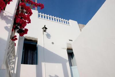 Lily's Studio