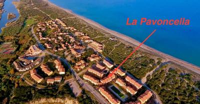 La Pavoncella
