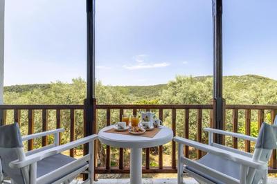 Skopelos Property Apartment 2